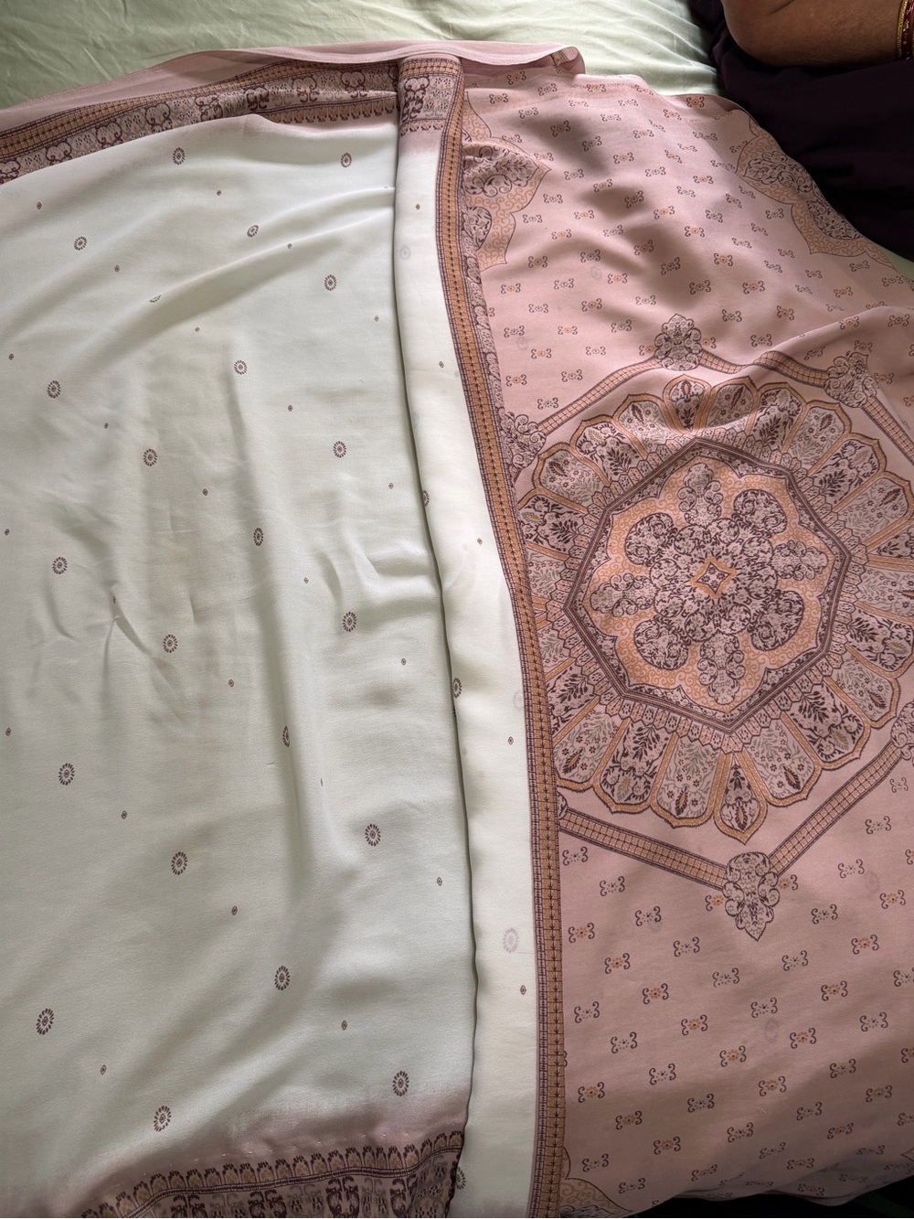 Classic Pink Medallion Saree